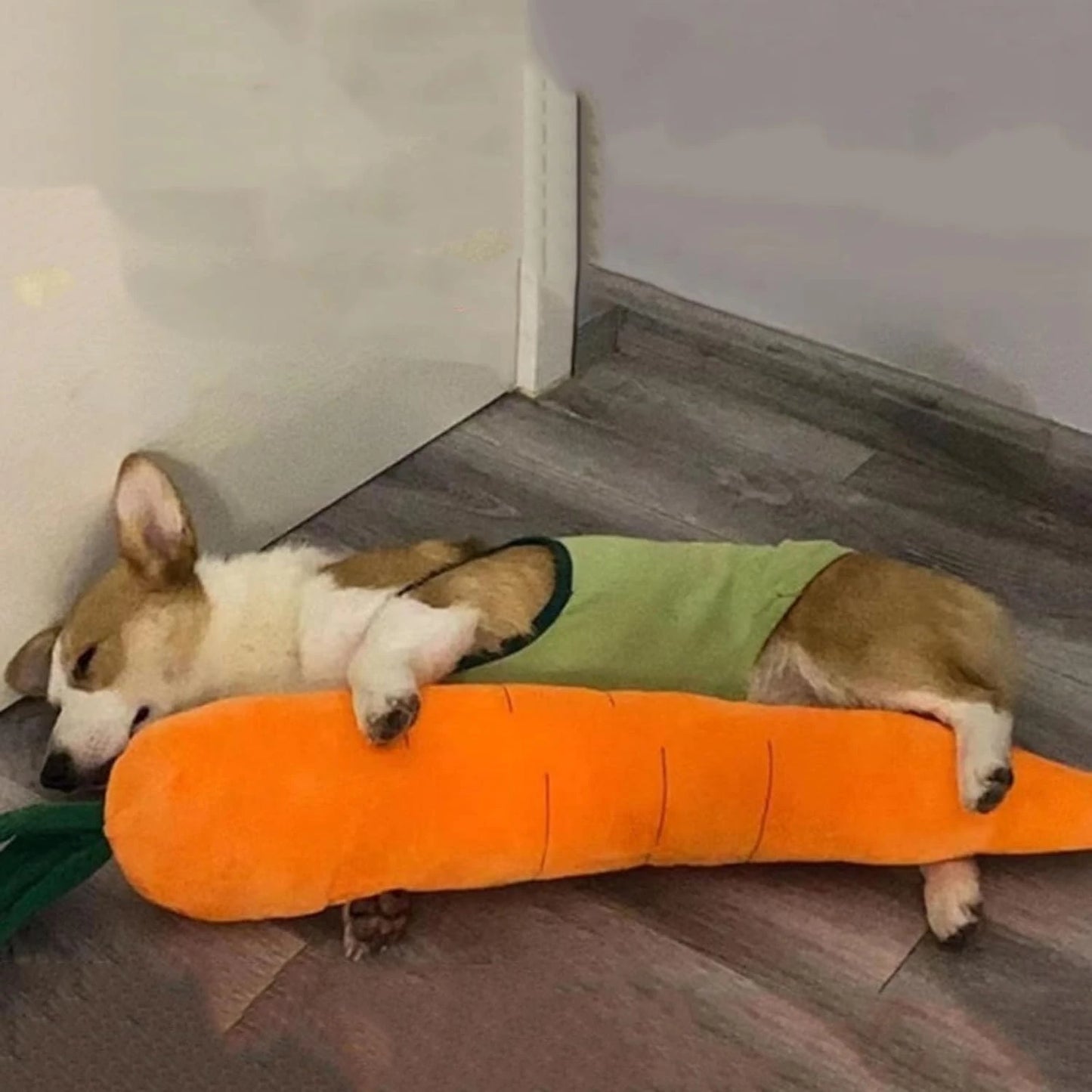 Dog playing with a calming chewable toy
