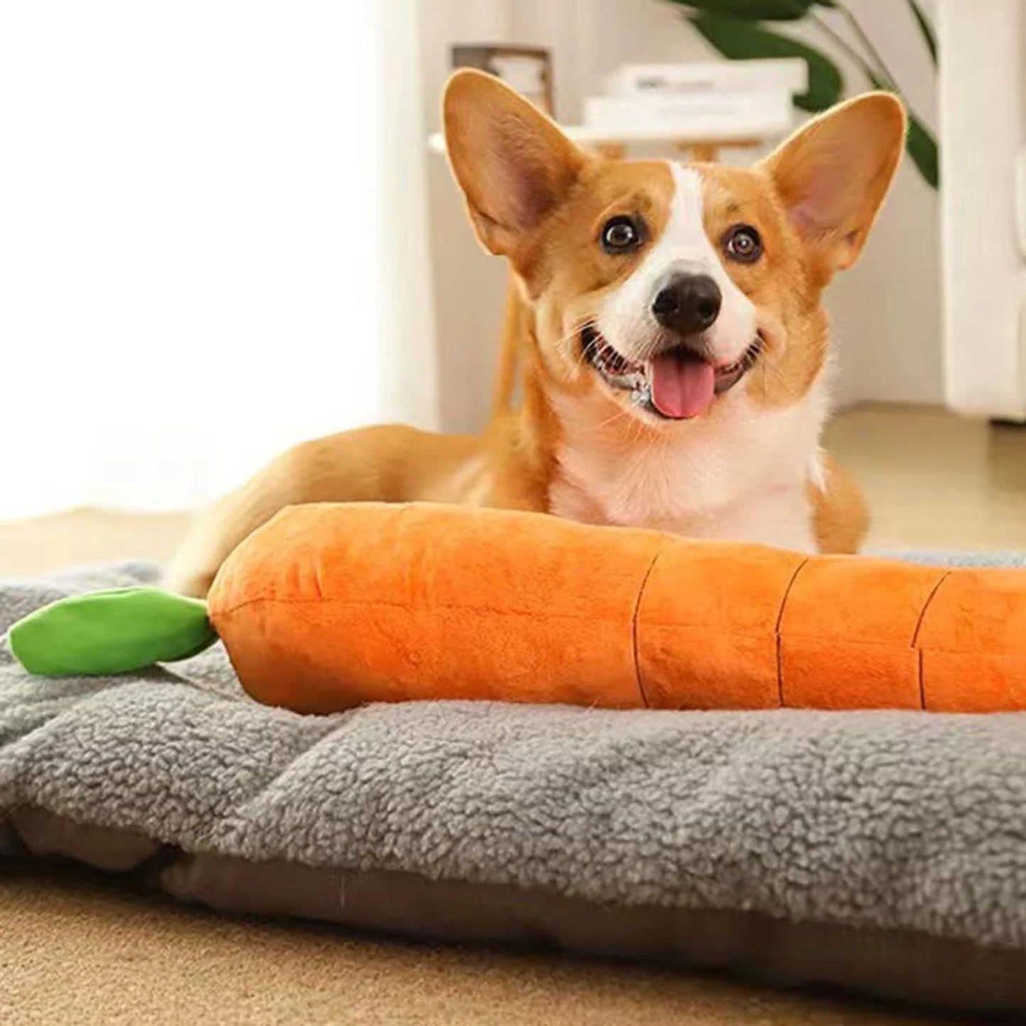 Durable and fun chew toy for dogs