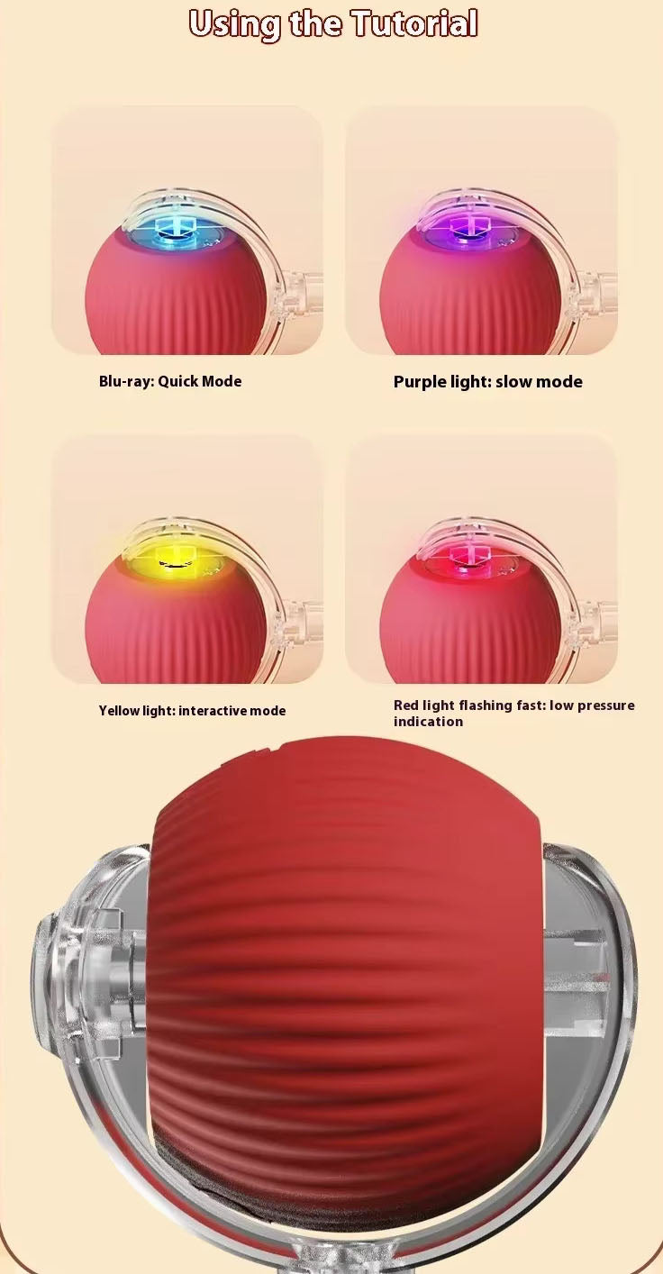 Step-by-step tutorial image for using The RoamRanger™