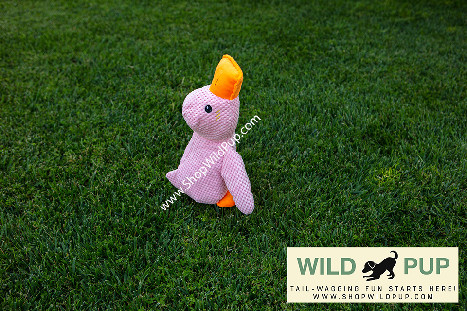 Calming Duck pet toy