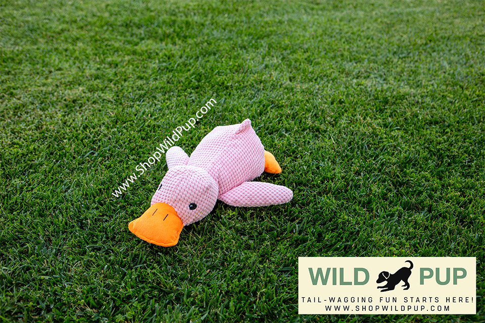 Soft Calming Duck