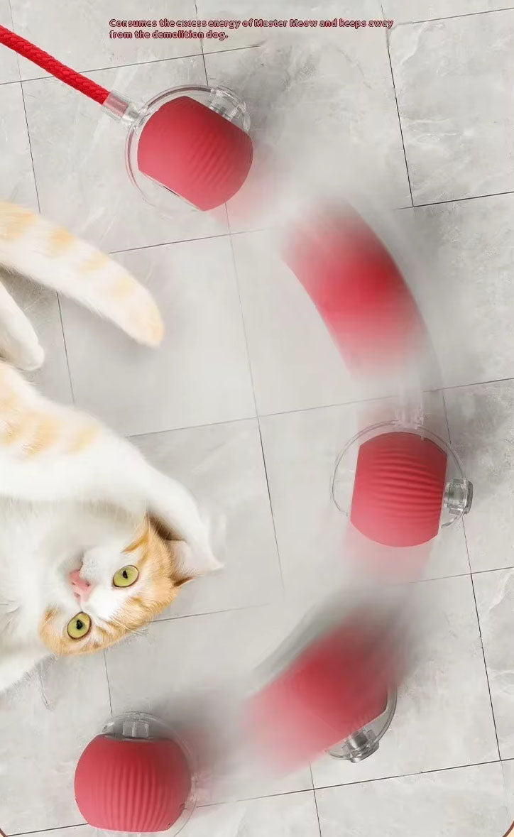 Cat playing with a Wild Pup toy