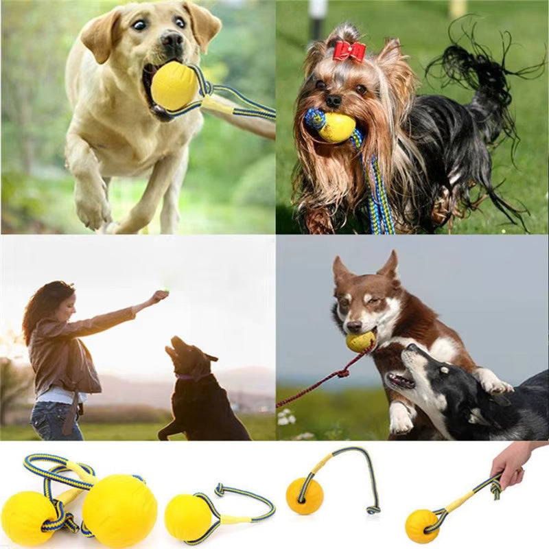 PowerChomp Durable EVA Tug & Fetch Ball