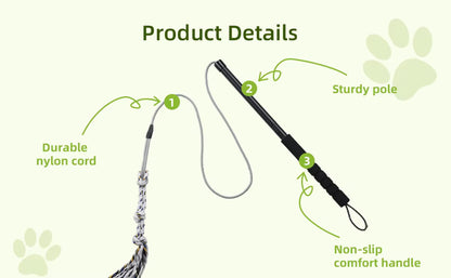 Interactive Flirt Pole Dog Toy