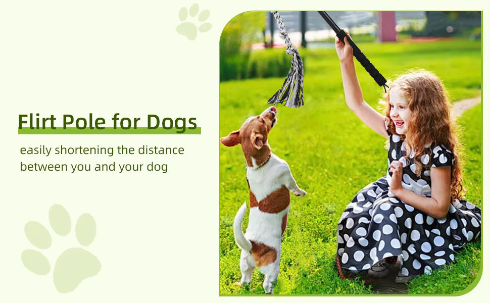 Interactive Flirt Pole Dog Toy