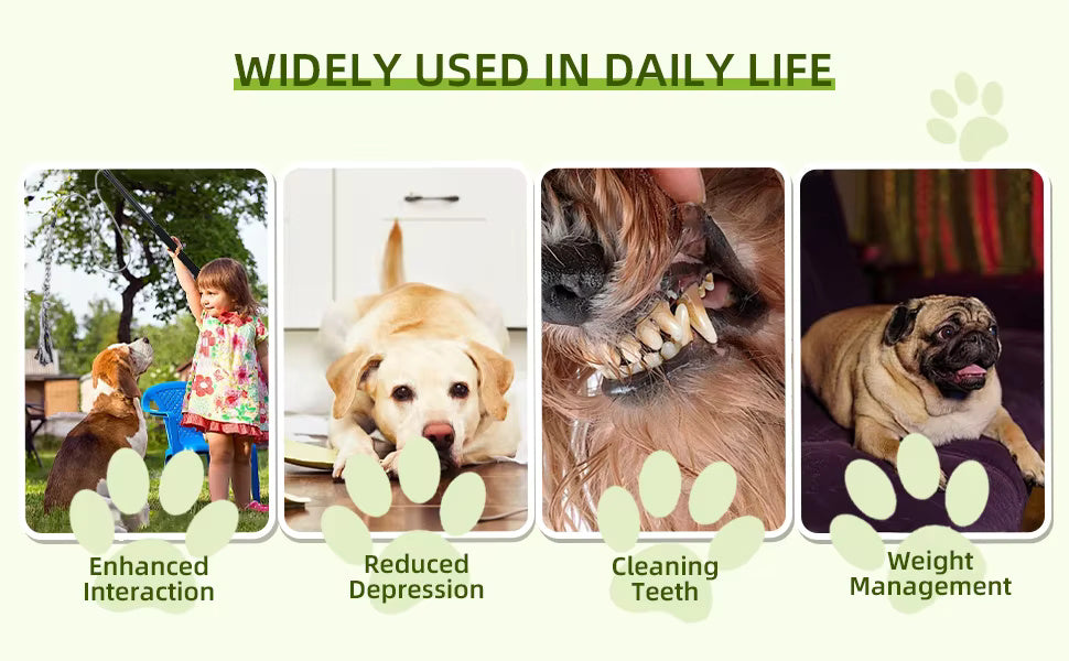 Interactive Flirt Pole Dog Toy