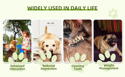 Interactive Flirt Pole Dog Toy