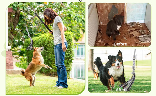 Interactive Flirt Pole Dog Toy