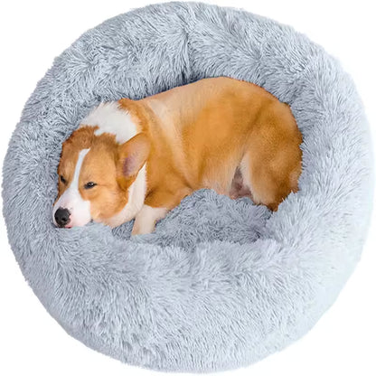 Calming Comfort Bed for Dogs