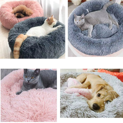 Calming Comfort Bed for Dogs