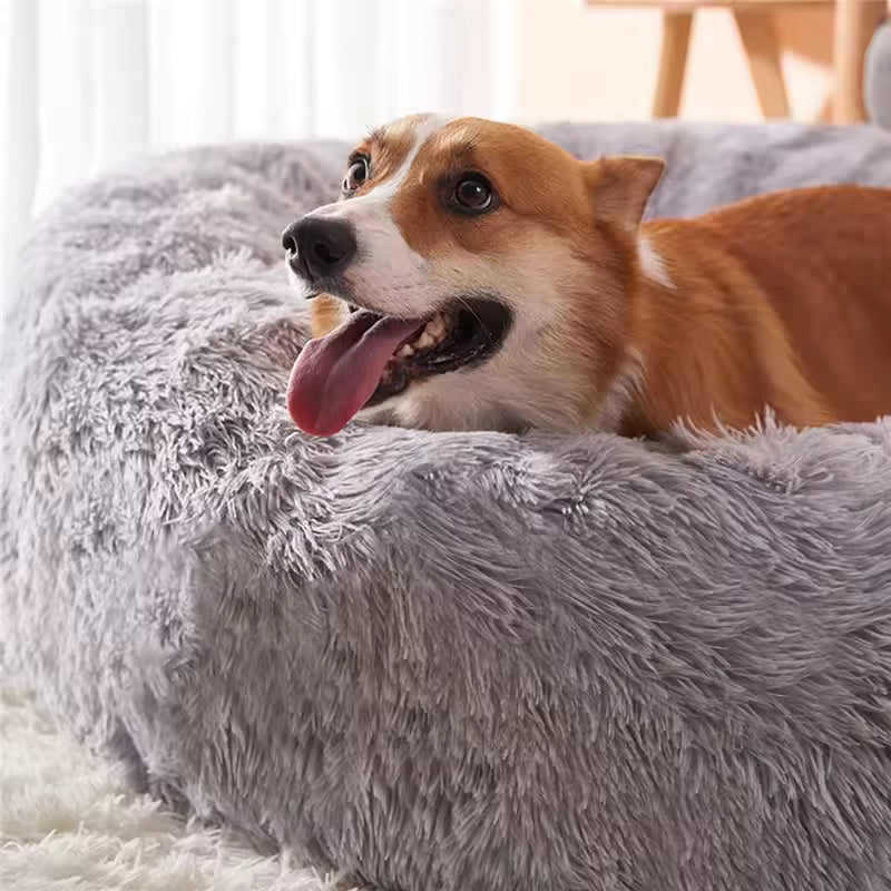 Calming Comfort Bed for Dogs
